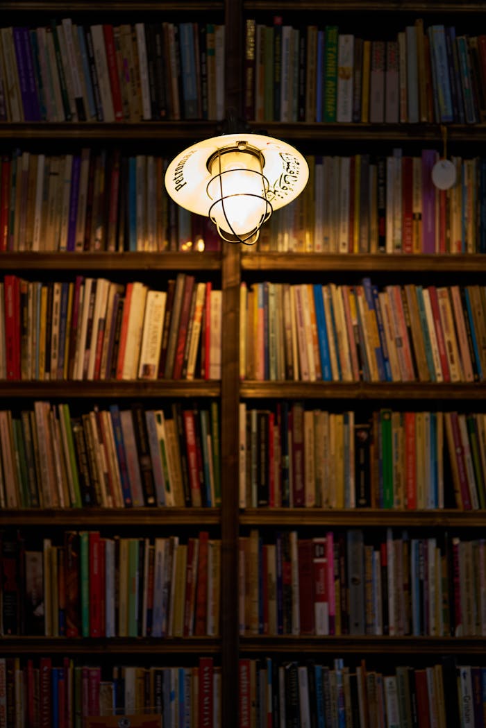 why-choose-us-02 Bookshelf in a library illuminated by a warm lightbulb, creating a cozy ambiance.
